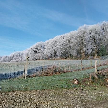 Gite En Lisiere De Foret Andaine Perrou Eksteriør bilde