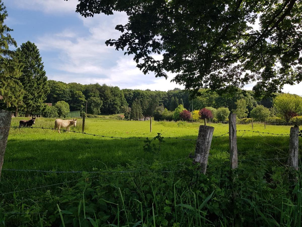 Gite En Lisiere De Foret Andaine Perrou Eksteriør bilde